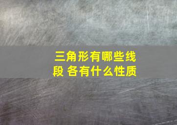 三角形有哪些线段 各有什么性质